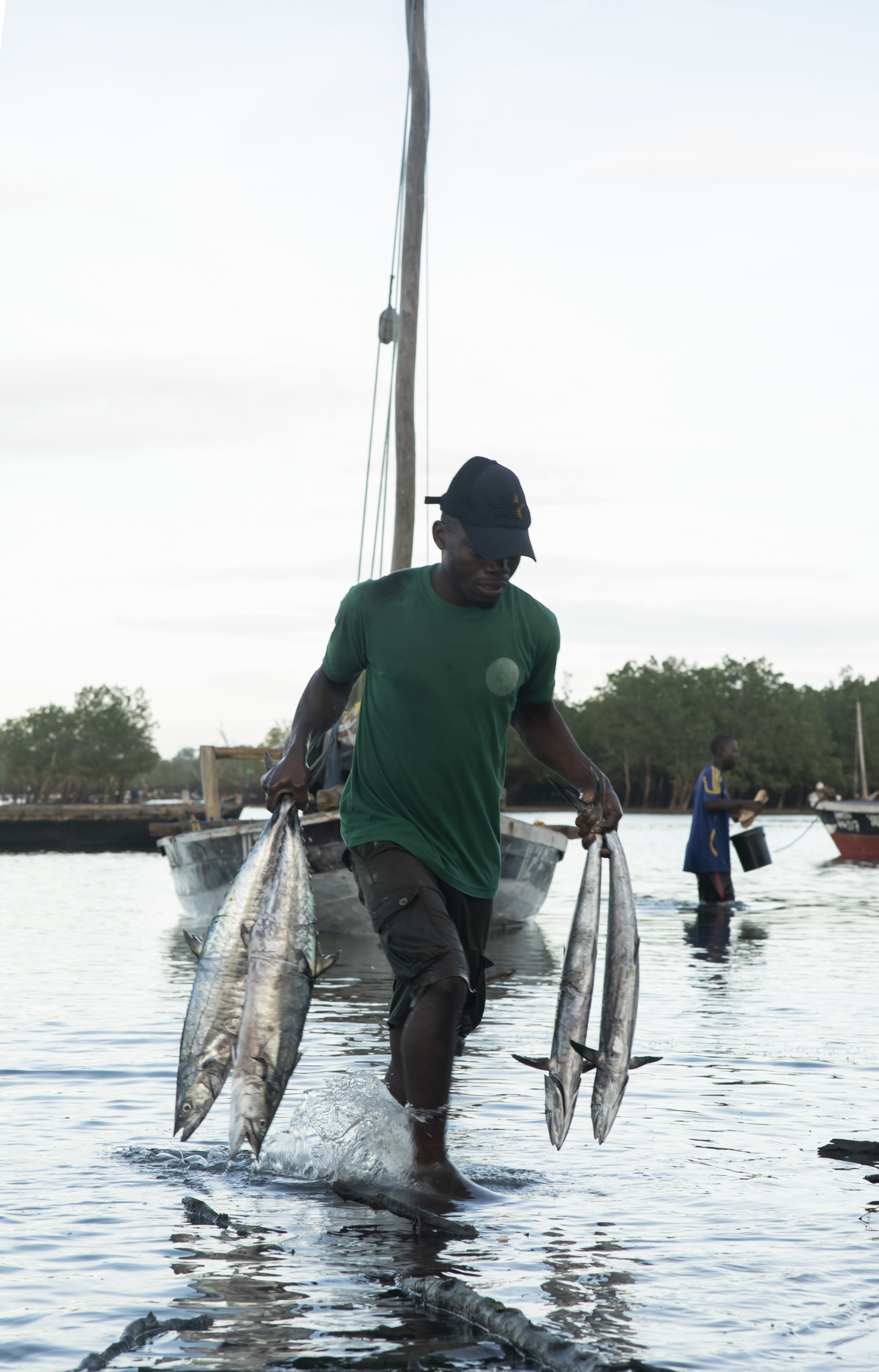 Tanzania Locating profitable fishing grounds in East Africa Eurisy